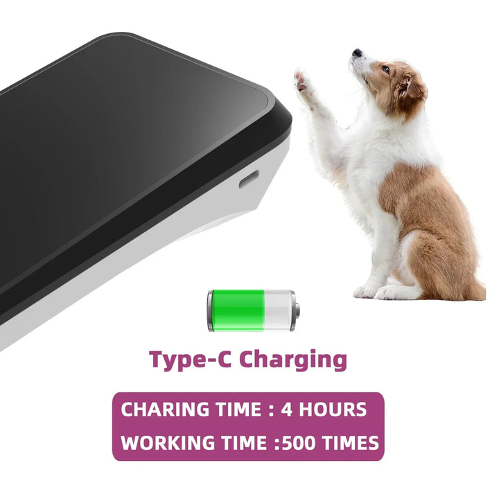 Pet Wellness Technology